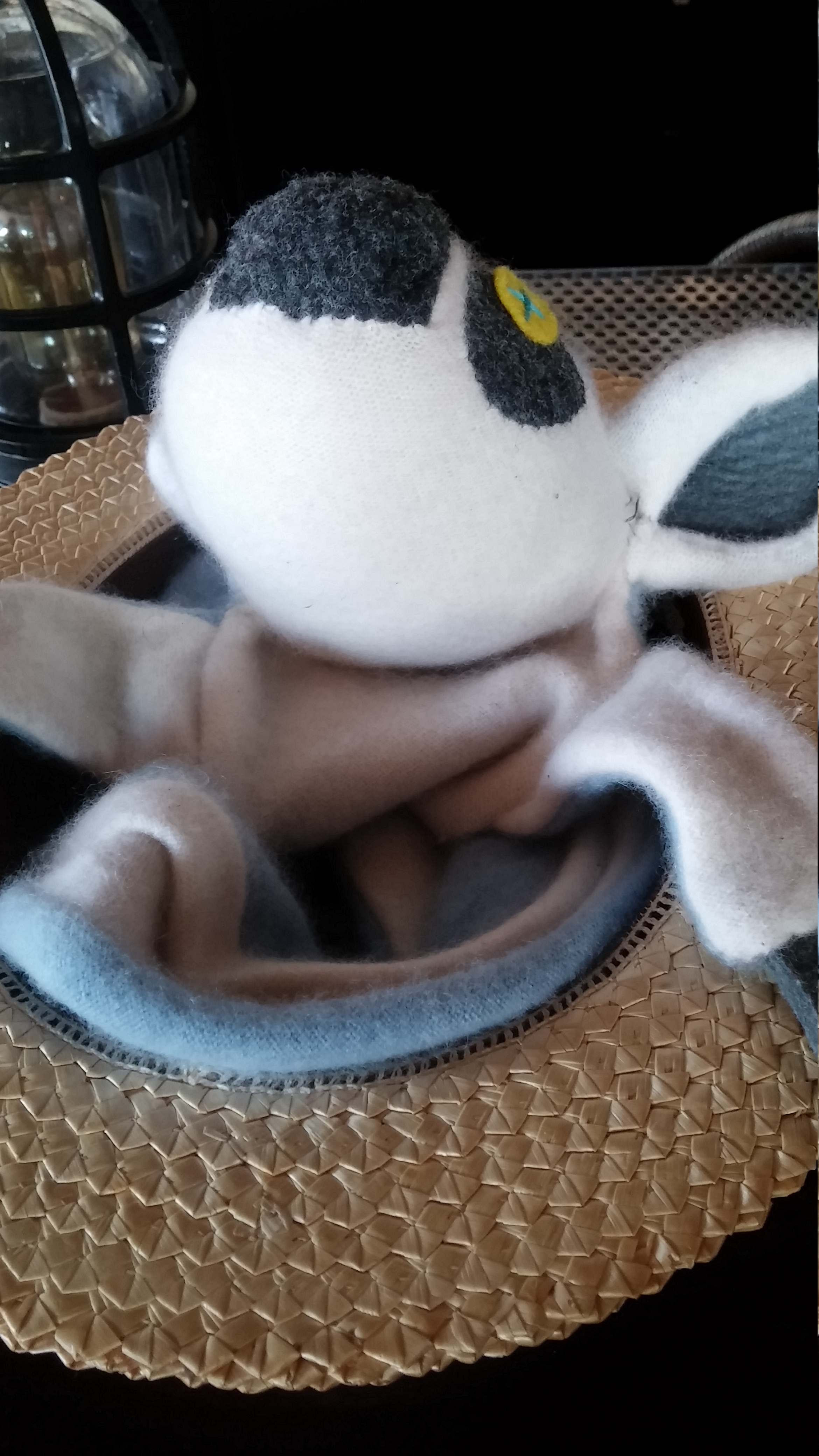 Asleep in a staw hat