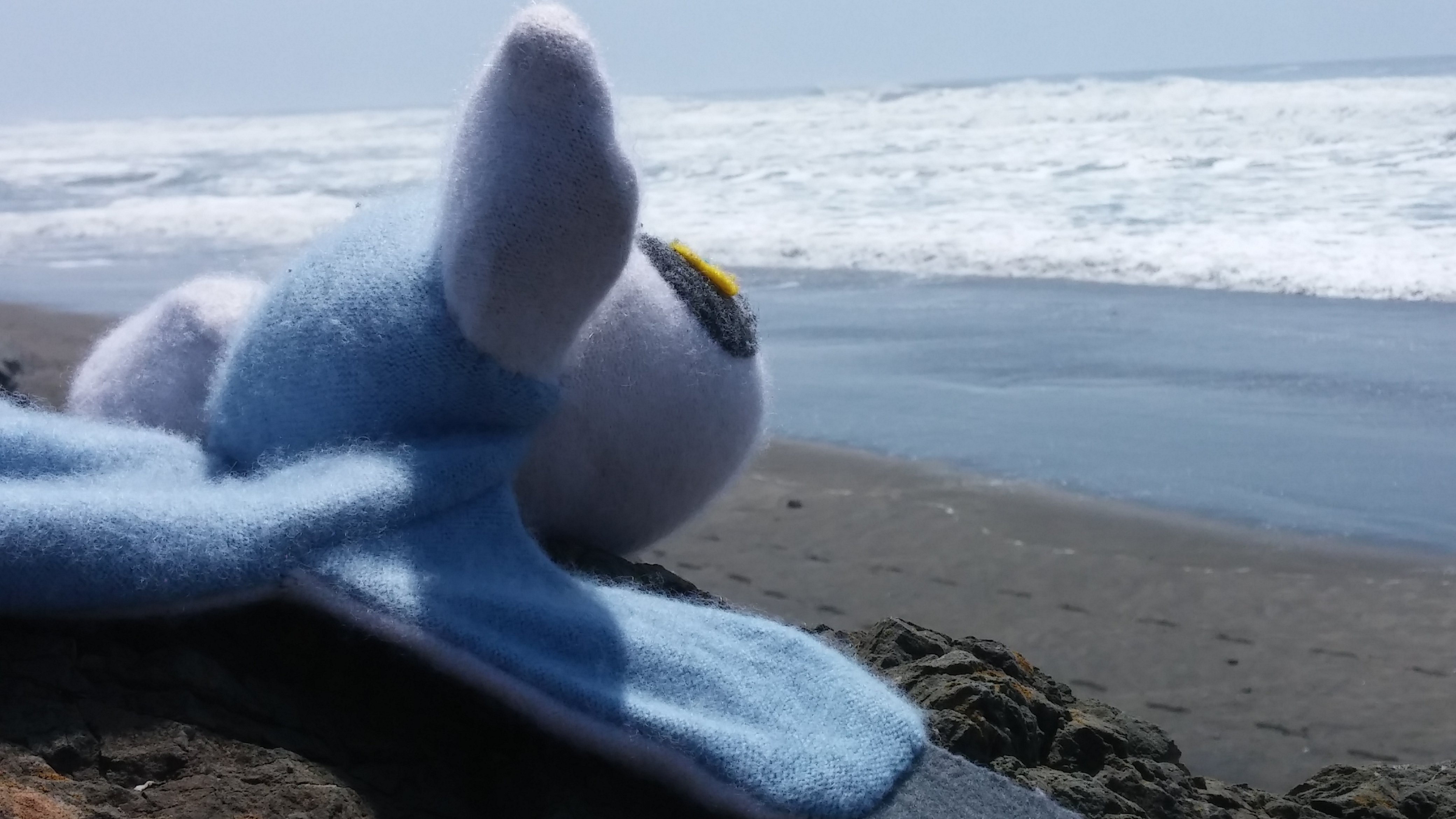 Orion sees the Ocean